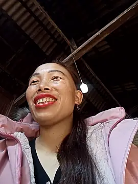 Nllpvp online show from 12, 1, 2026