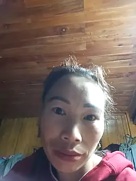 Nllpvp online show from 15, 1, 2026