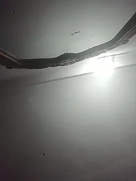 momo loves online show from 8, 3, 2026