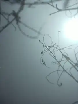 momo loves online show from 9, 1, 2026