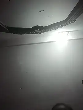 momo loves online show from 3, 3, 2026