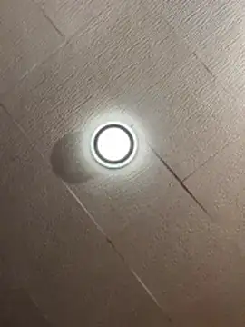 Evelin199 online show from 9, 3, 2026