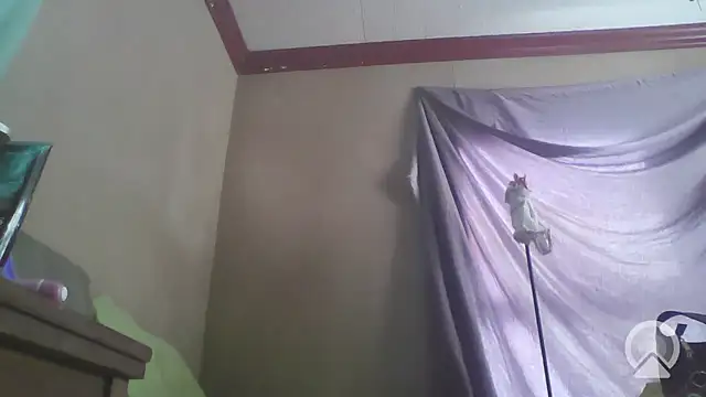 jojosbizarrelyf online show from 9, 1, 2026