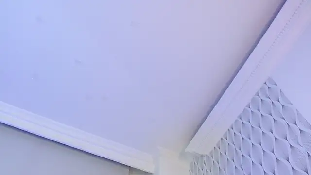 Collins luna online show from 10, 1, 2026