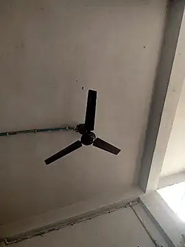 HadDrawers online show from 10, 1, 2026