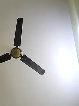 trinasa online show from 12, 1, 2026