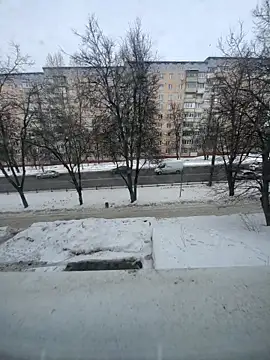 se x instruktor online show from 12, 2, 2026