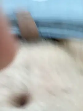 kazikli2 online show from 6, 1, 2026