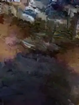 BigAndBeaut online show from 22, 4, 2026