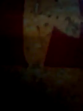 CockForPussy1508 online show from 10, 2, 2026