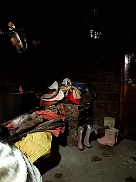 yu--yo online show from 9, 1, 2026