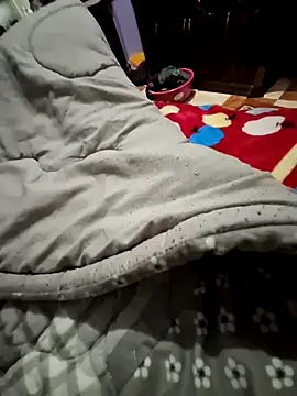 kingEgyptianRr online show from 7, 2, 2026