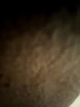 kingEgyptianRr online show from 13, 2, 2026