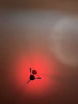 witchdub online show from 24, 2, 2026