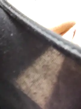 kadani online show from 6, 2, 2026