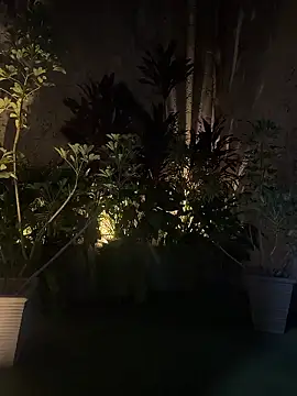 EmmaJhoons online show from 18, 1, 2026