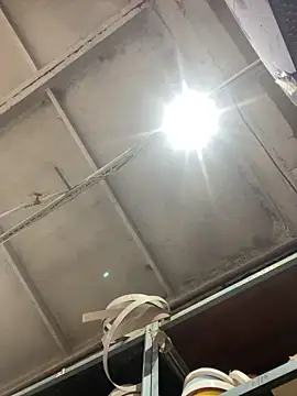 Dildogang online show from 26, 2, 2026