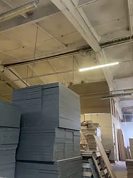 Dildogang online show from 4, 3, 2026