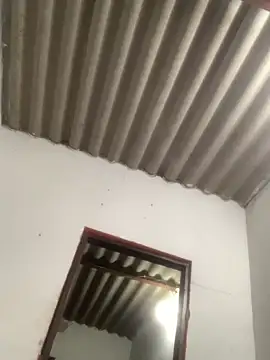 GeorgiandCoi online show from 28, 3, 2026