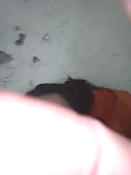 PatriciaGrajales online show from 1, 3, 2026