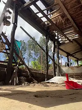 Ginny 2x online show from 9, 2, 2026