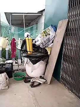 waaini99 online show from 1, 4, 2026