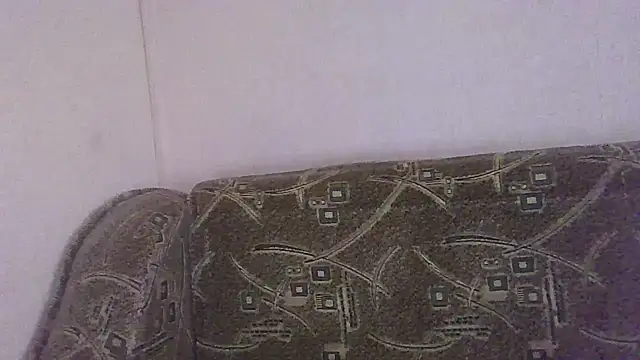 Norma Wall online show from 2, 7, 2026