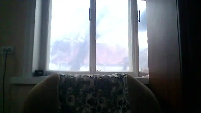 Norma Wall online show from 1, 4, 2026