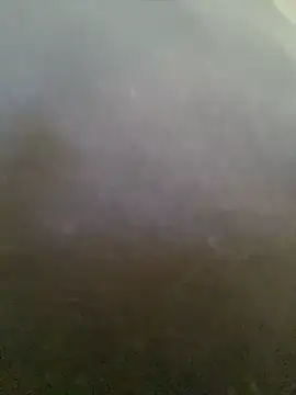 twink gabrielll online show from 18, 4, 2026