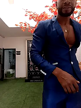 Dante Knox online show from 9, 4, 2026