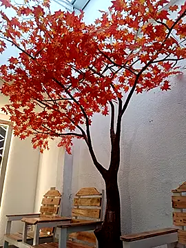 Dante Knox online show from 22, 3, 2026