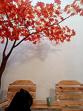 Dante Knox online show from 17, 4, 2026