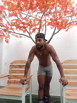 Dante Knox online show from 3, 6, 2026
