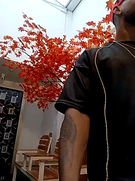 Dante Knox online show from 27, 4, 2026
