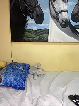 Shayla--broos online show from 20, 2, 2026