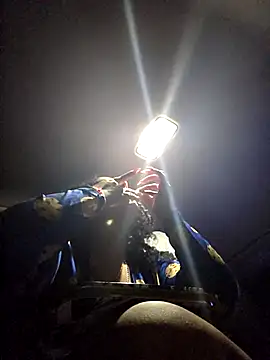 tastesosweet online show from 1, 3, 2026