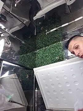 Andres storm online show from 11, 4, 2026