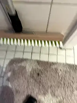 Hamsterdich online show from 18, 1, 2026