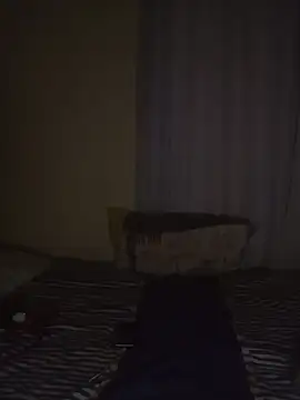 Princess2002Electron online show from 1, 2, 2026