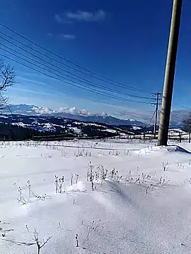 Ivan9iutt online show from 15, 1, 2026