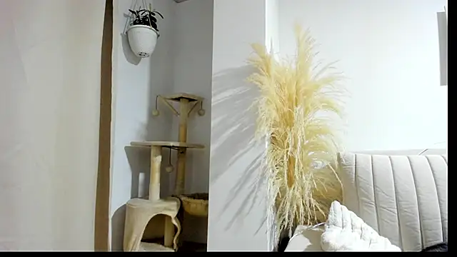 Snapshot of _Sweet_ary chatting on 8, 4, 2026 Sweet ary online show from 8, 4, 2026