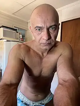 dogfrota online show from 4, 2, 2026