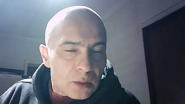 dogfrota online show from 18, 6, 2026