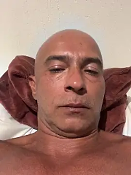 dogfrota online show from 21, 2, 2026