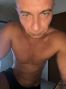 dogfrota online show from 10, 3, 2026