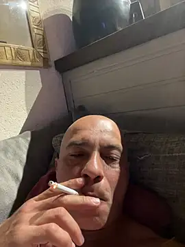 dogfrota online show from 11, 1, 2026