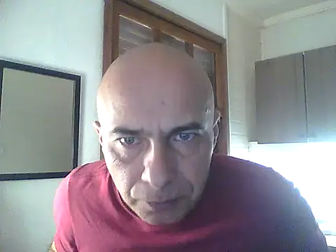 Snapshot of dogfrota chatting on 29, 5, 2026 dogfrota online show from 29, 5, 2026