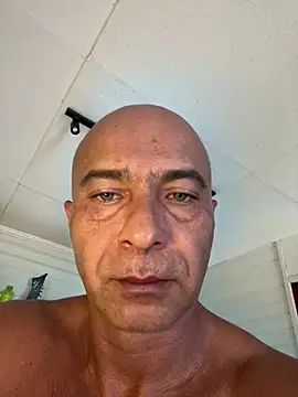 dogfrota online show from 8, 3, 2026