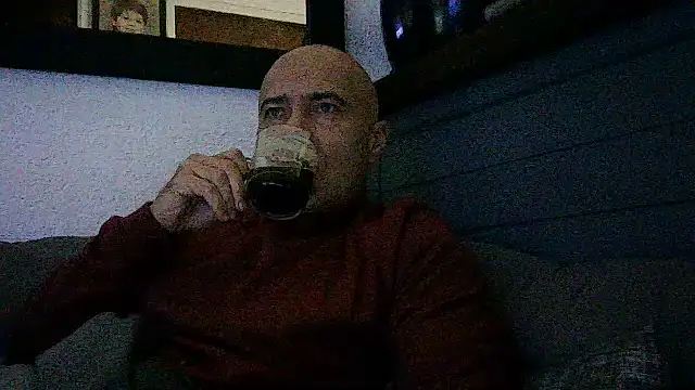 dogfrota online show from 14, 6, 2026