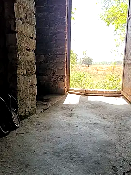 Shivanisingh4 online show from 13, 4, 2026